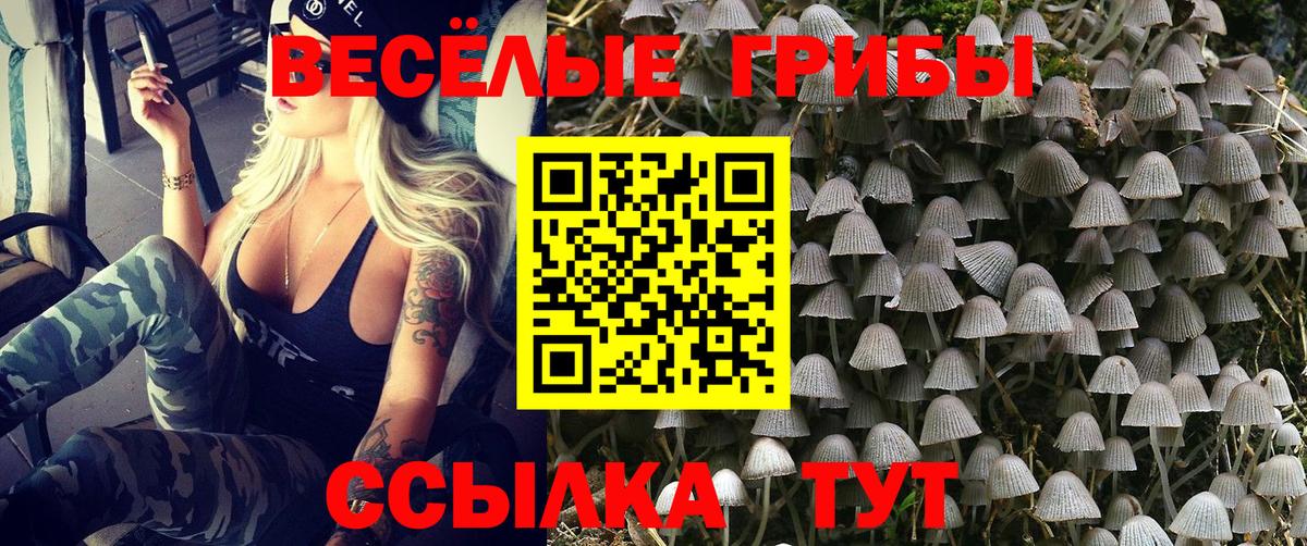 Галлюциногенные грибы Magic Shrooms  закладка  Карпинск  Вход с VPN 
